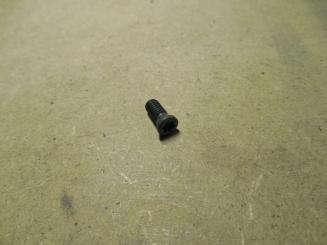 Ersatzklemmschraube für WSP RDKT 12/SN.X 1206/AP.T 