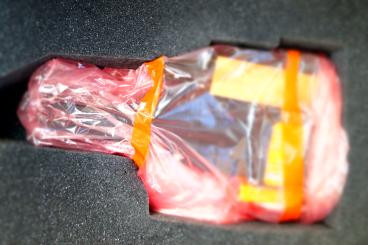 OCEAN_2.0_Applicator-E-080F130F 