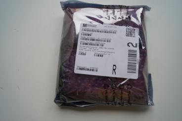 Infineon IGBT Module 