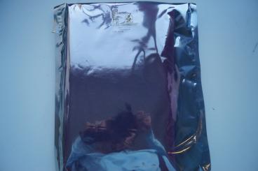 Powekarte FC 302 132kW T5 - Danfoss 