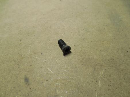 Ersatzklemmschraube für WSP RDKT 12/SN.X 1206/AP.T 