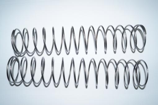 Druckfeder 3,5x50,0x190 (2 Stück) 